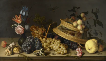 Nature morte de fleurs, fruits, coquillages et insectes